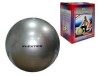 Мяч гимнастический FLEXTER Флекстер  85см  фитбол - магазин СпортДоставка. Спортивные товары интернет магазин в Дербенте 