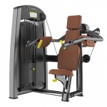 Профессиональный тренажер для зала дельтовидные раводка DHZ Fitness A893 - магазин СпортДоставка. Спортивные товары интернет магазин в Дербенте 