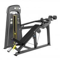         DHZ Fitness E3013 -  .       