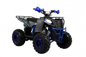 Квадроцикл Wels ATV THUNDER EVO 125 s-dostavka Серый - магазин СпортДоставка. Спортивные товары интернет магазин в Дербенте 